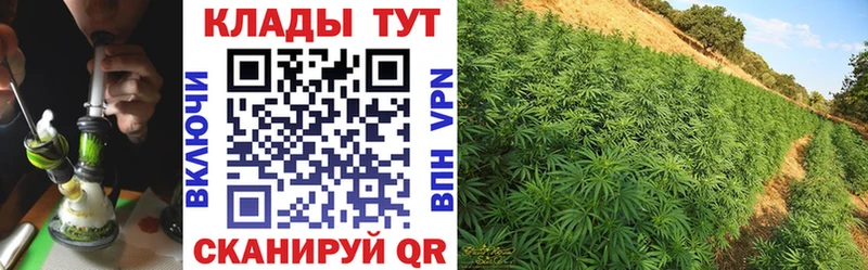  Кокаин Рославль