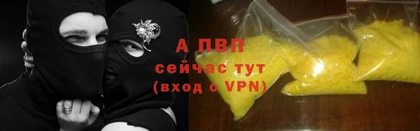 крисы Покачи