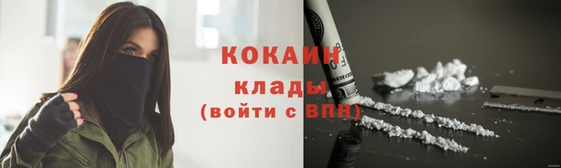 крисы Покачи