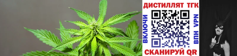 ТГК THC oil  mega tor  Рославль 
