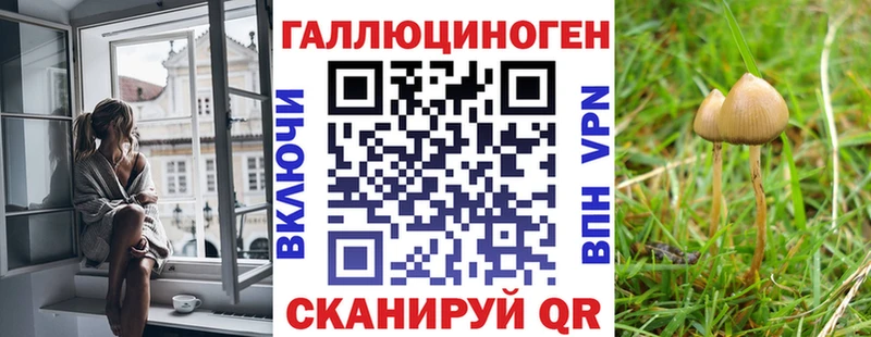 Псилоцибиновые грибы мицелий  купить наркотики сайты  KRAKEN ссылки  Рославль 