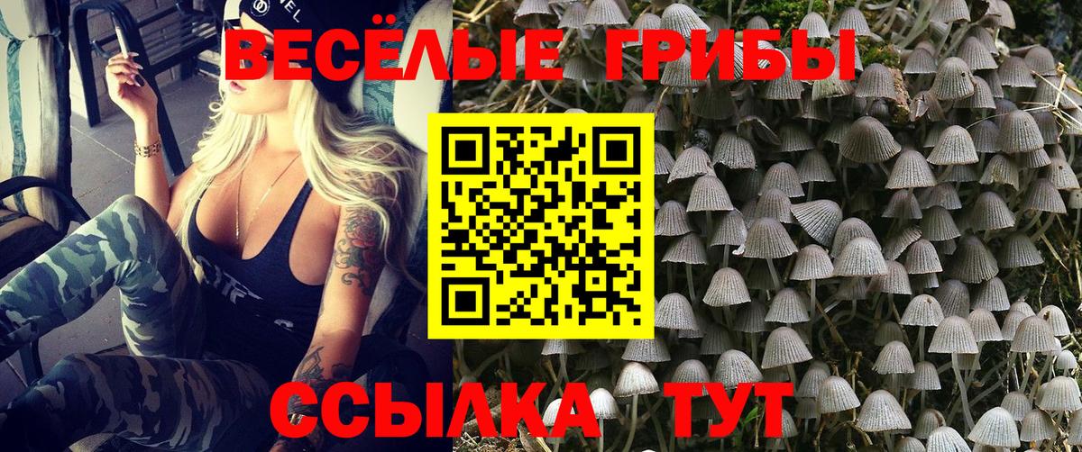 Галлюциногенные грибы MAGIC MUSHROOMS Рославль